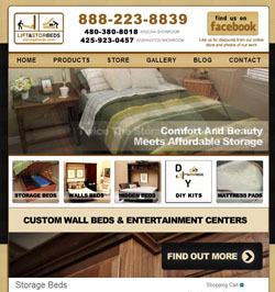 Wordpress E-commerce Web Design Done For A Customer In Apache Junction, AZ