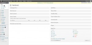 Wordpress Website Dashboard